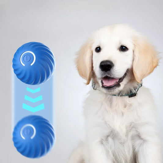 Smart Dog Toy