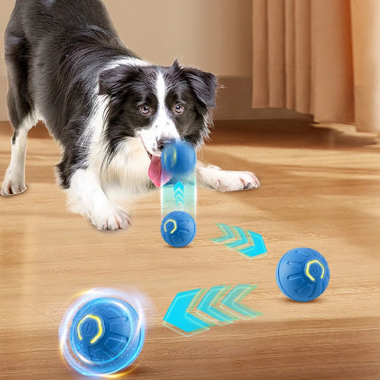 Dog&Cat Smart Ball 2.0