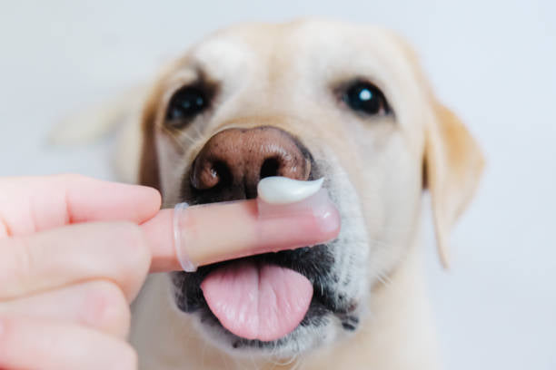 Pet Teeth Cleaning Wipes
