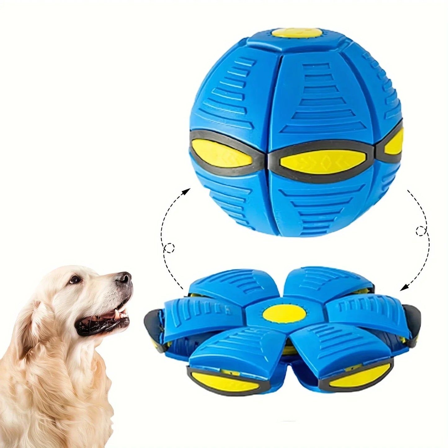 Dog Bouncing Ball