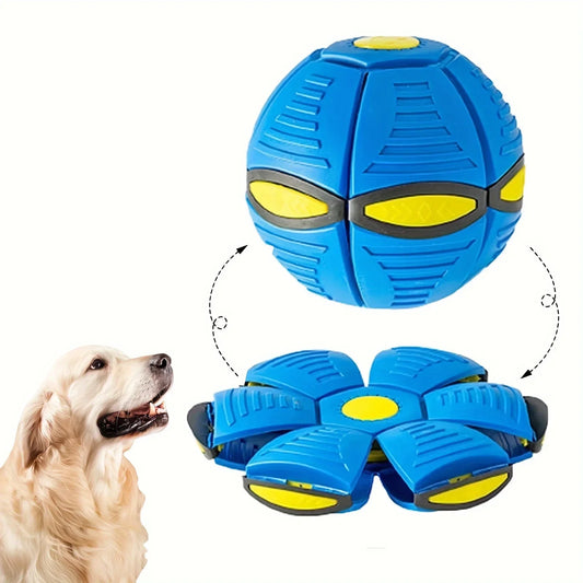 Dog Bouncing Ball