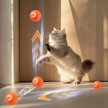 Dog&Cat Smart Ball 2.0