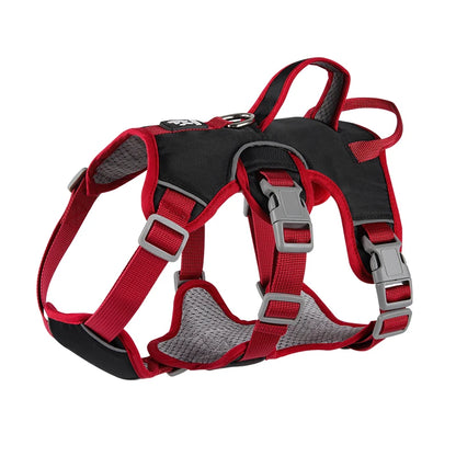 Dog Harness