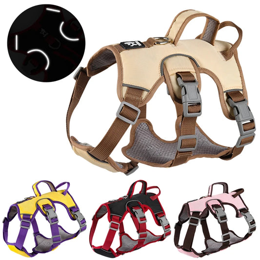 Dog Harness