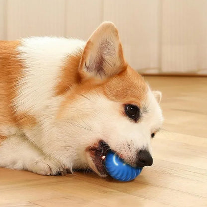 Smart Dog Toy