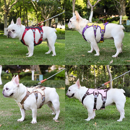 Dog Harness