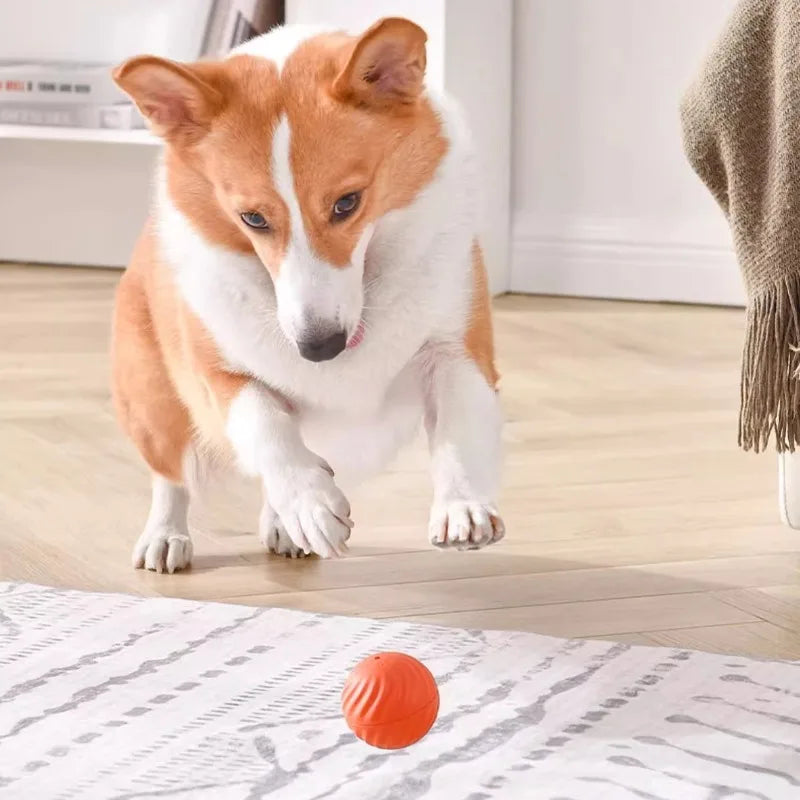 Smart Dog Toy