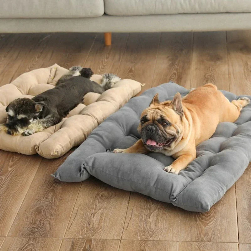 Dog Bed