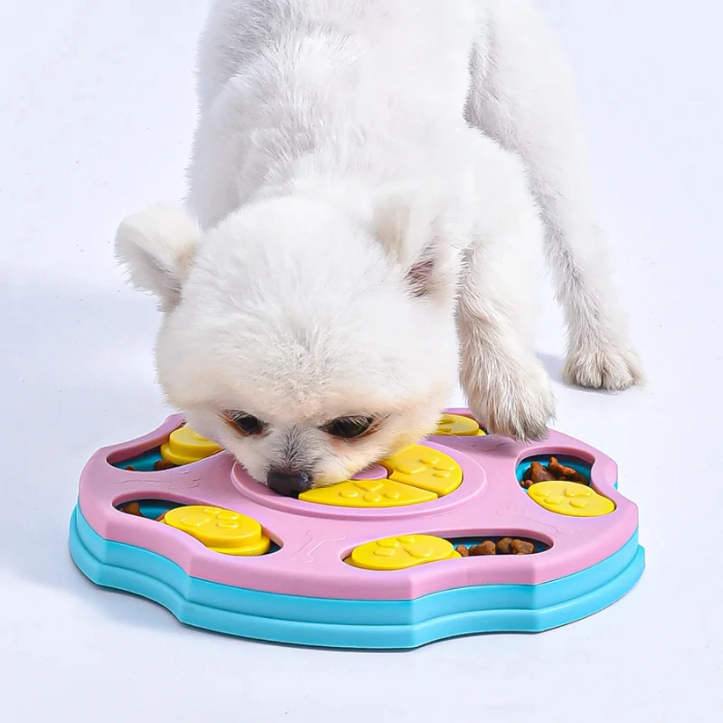 Dog Puzzle Toy