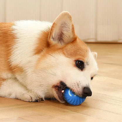 Dog&Cat Smart Ball 2.0