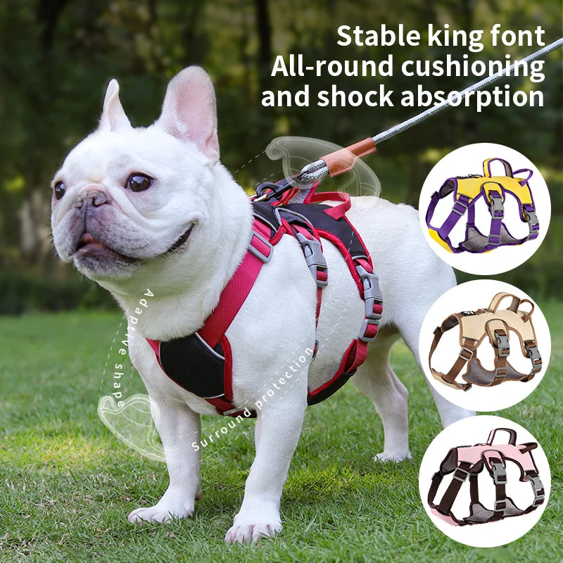Dog Harness