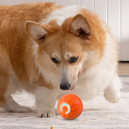 Dog&Cat Smart Ball 2.0