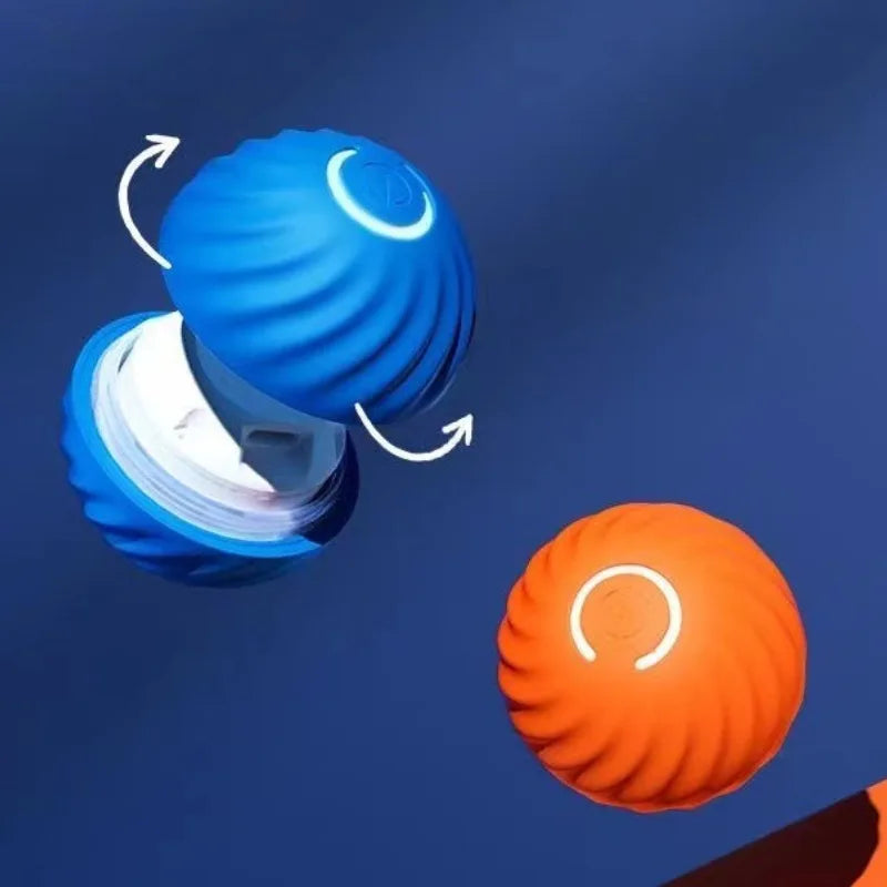 Smart Dog Toy