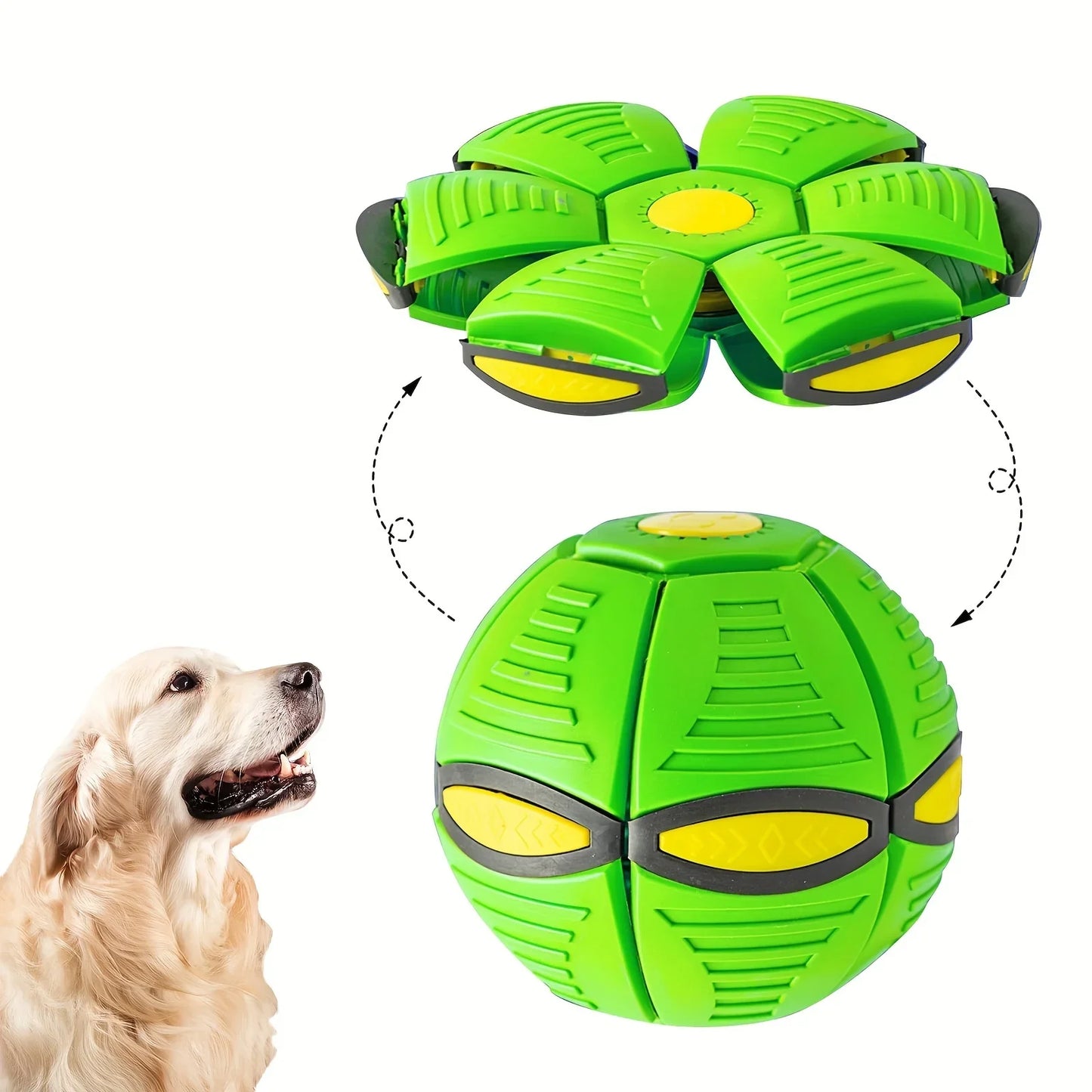 Dog Bouncing Ball