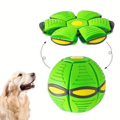 Dog Bouncing Ball