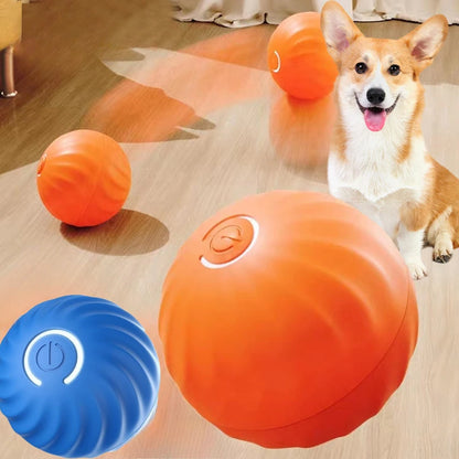 Smart Dog Toy