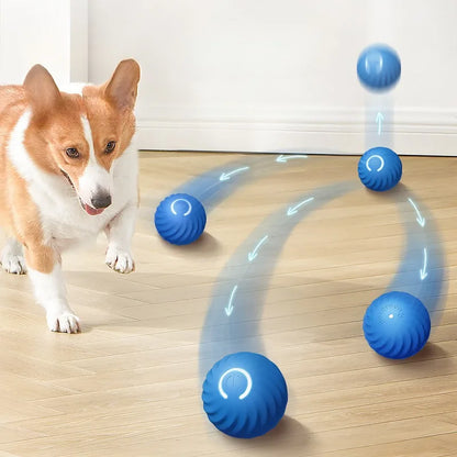 Smart Dog Toy