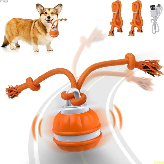 Peppy Pet Ball 3.0