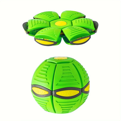 Dog Bouncing Ball