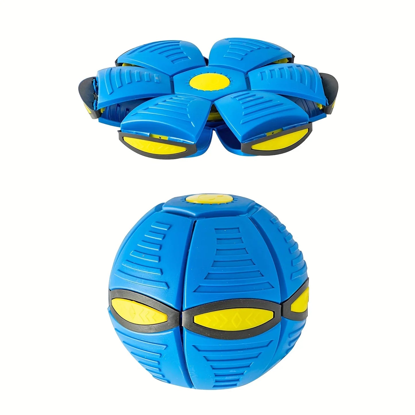 Dog Bouncing Ball