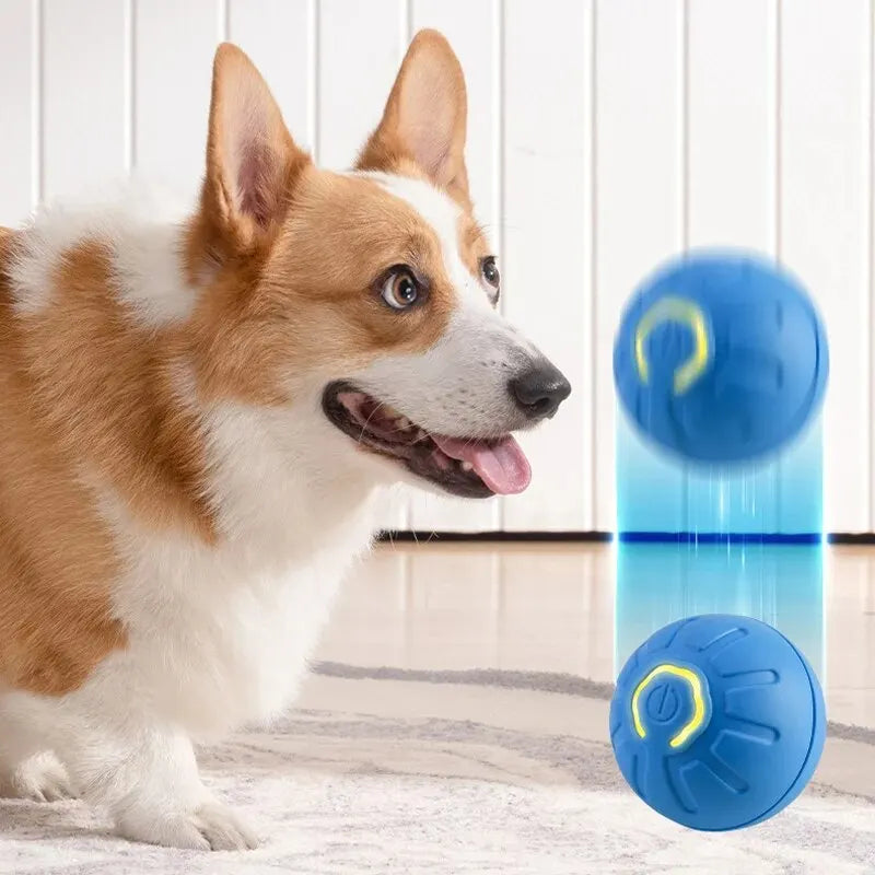 Dog&Cat Smart Ball 2.0