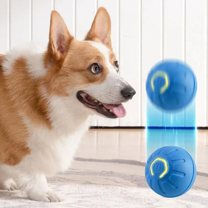Dog&Cat Smart Ball 2.0