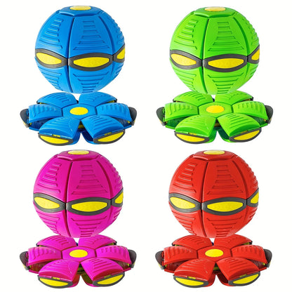 Dog Bouncing Ball