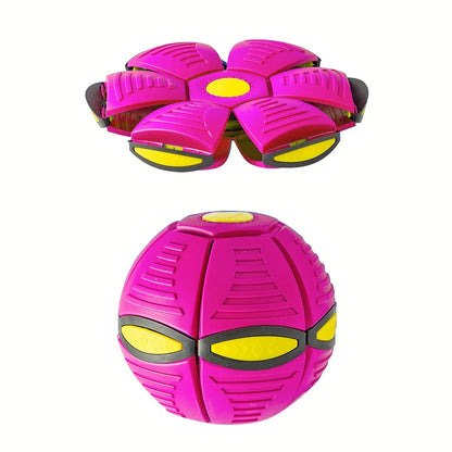 Dog Bouncing Ball