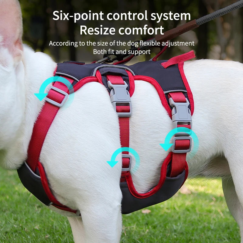 Dog Harness