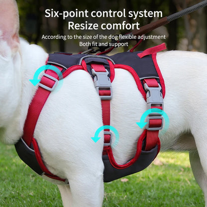Dog Harness