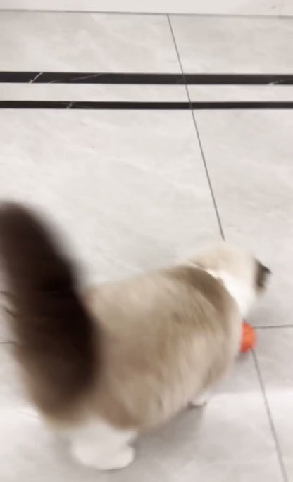 Dog&Cat Smart Ball 2.0