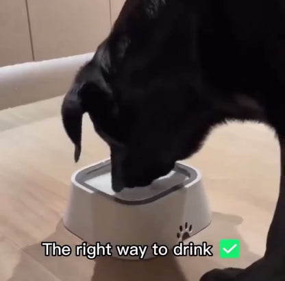 Dog Water Bowl