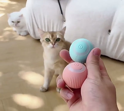 Smart Dog Toy
